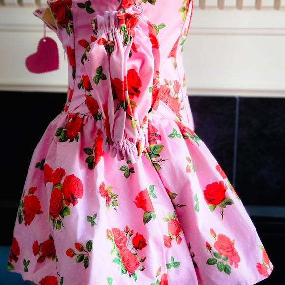 NWT Holding Court Corset Dress - Pink SOLD OUT - Picture 6 of 7